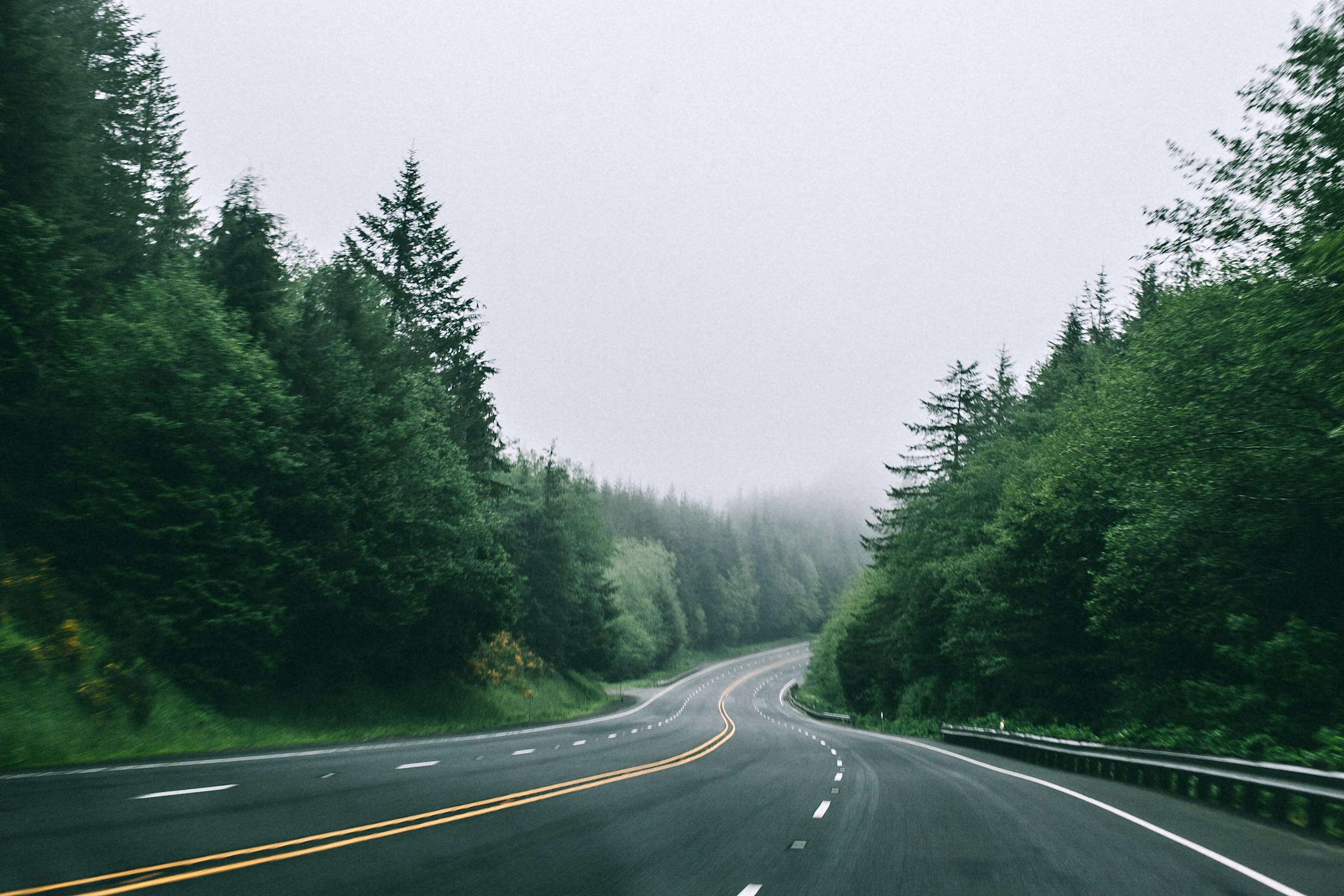 A winding highway through an evergreen forest